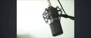 Audio Production Roles